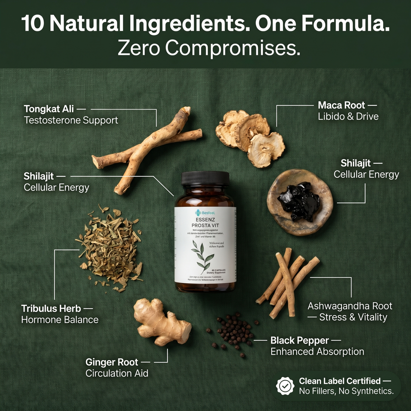PROSTA VITAL™ — 10-in-1 Men's Prostate & Energy Support