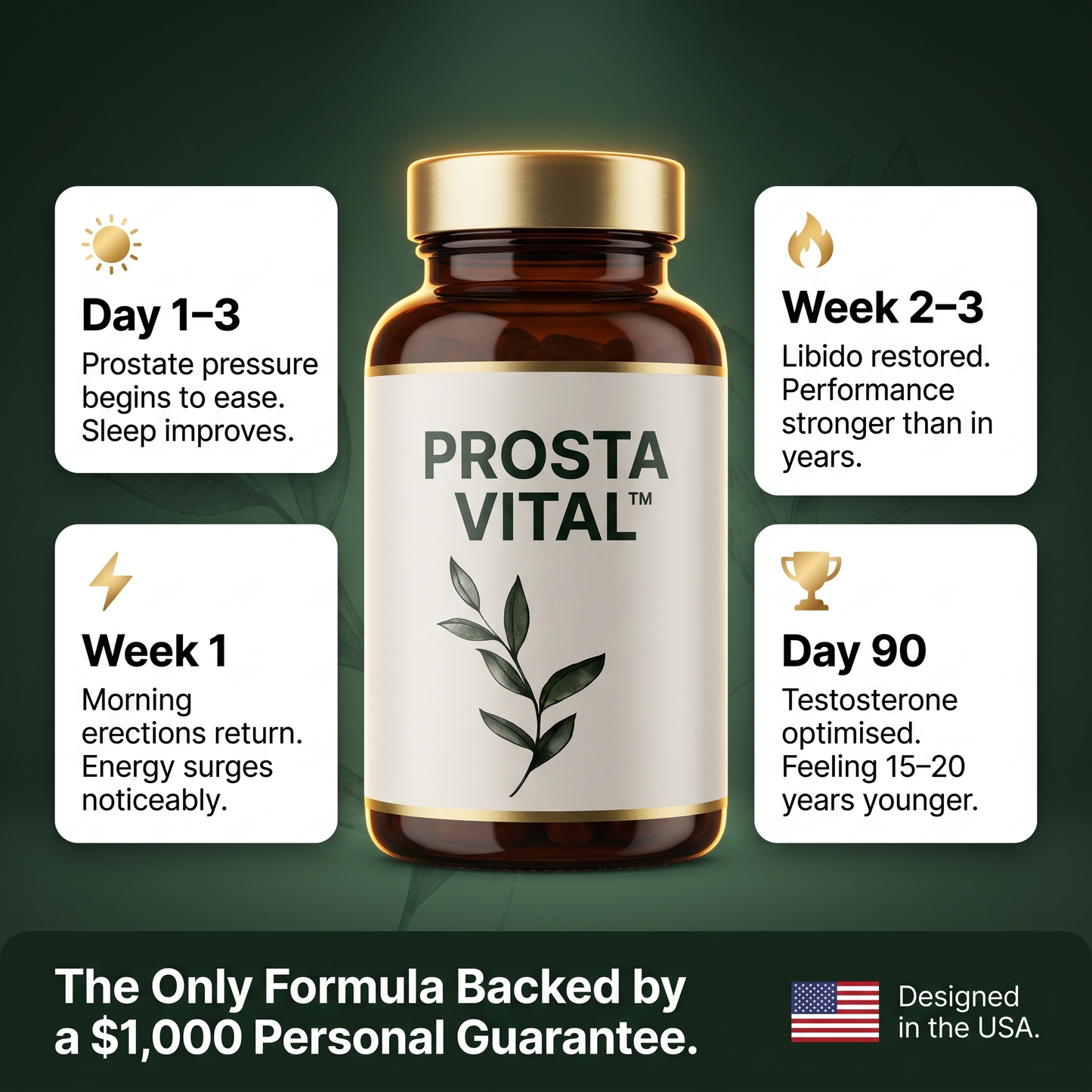 PROSTA VITAL™ — 10-in-1 Men's Prostate & Energy Support