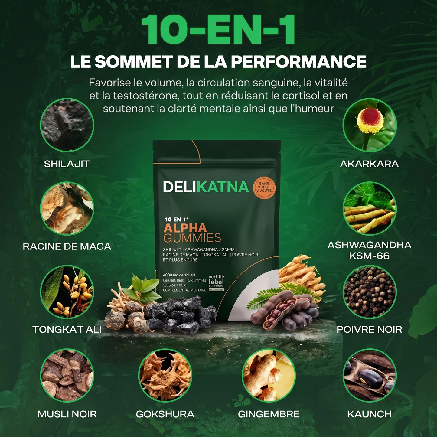 DELIKATNA™ | Soutien vitalité 10-en-1 (PROMOTION)